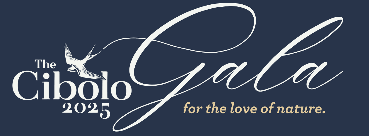 2025 Celebrate The Cibolo Gala